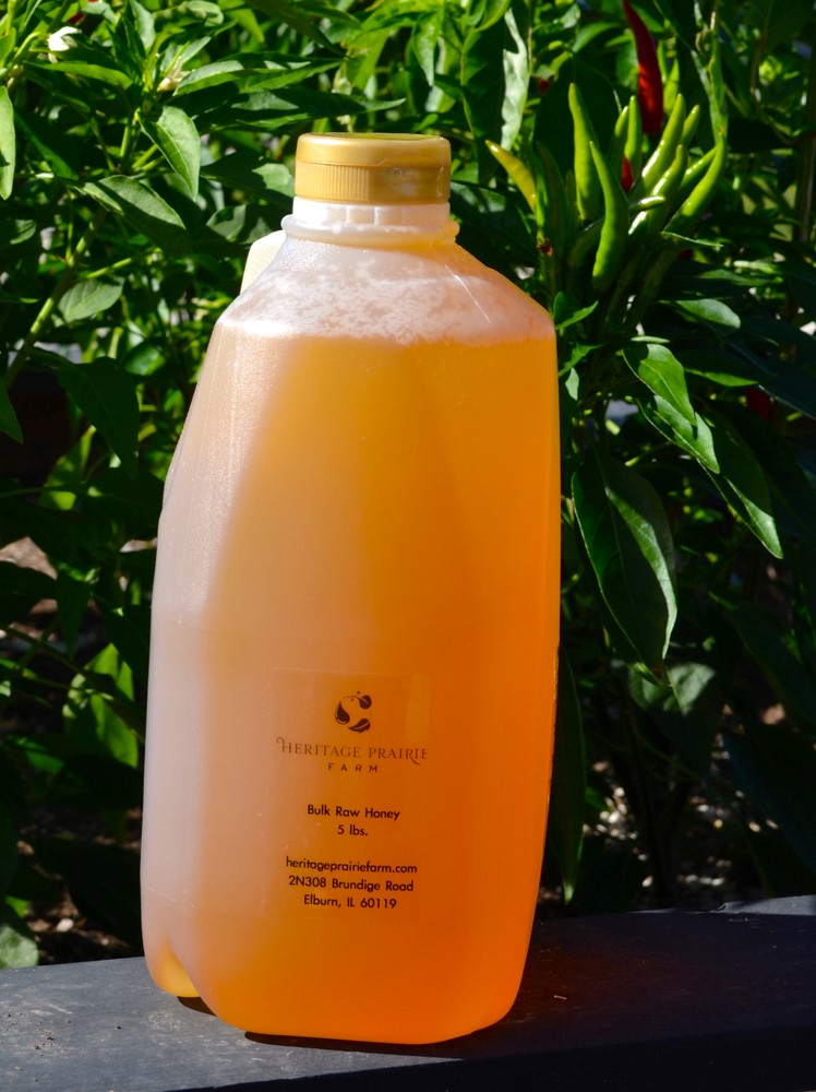  Really Raw Honey Chapman RV Park Ruskin FL